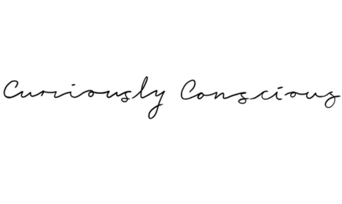 Christmas Gift Guide - Curiously Conscious