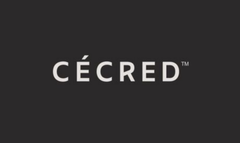Beyonce's haircare brand cecred launches