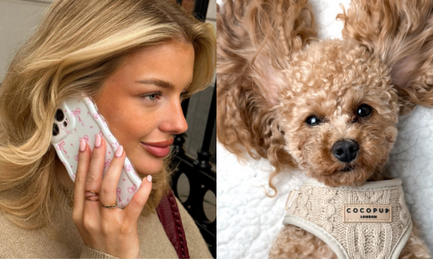 Brand Building Co announces new client wins