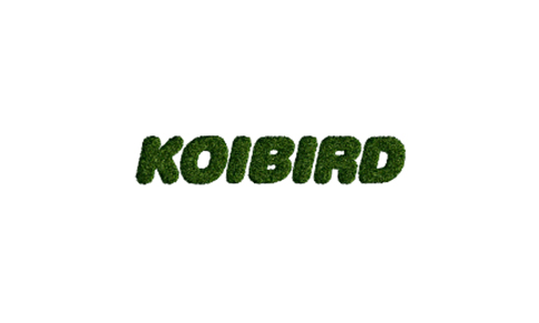 Koibird appoints PR & Communication Consultant