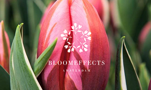 Skincare brand Bloomeffects appoints Brandstand Communications
