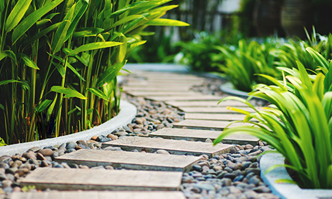 Source Garden announces launch and appoints PR agency