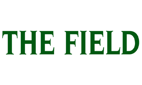The Field names features editor