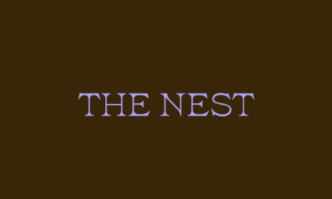 The Nest announces launch
