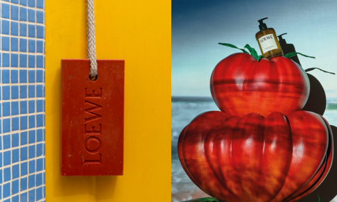 LOEWE Perfumes appoints representation (USA)