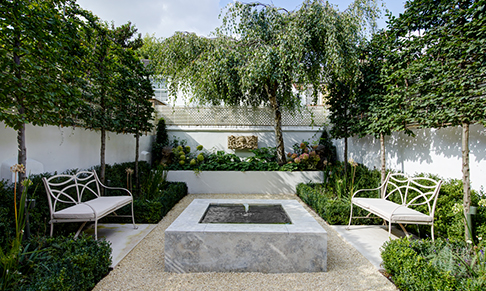 Design studio Thorp appoints PuRe