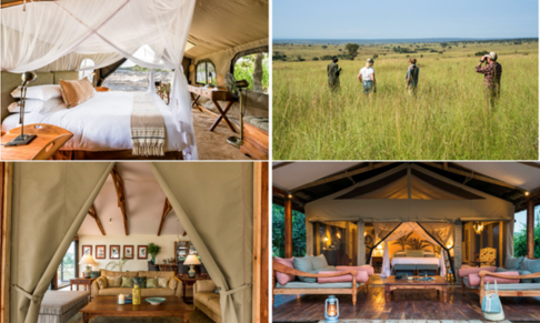 Safari collection WildPlaces Africa appoints USA and UK representation