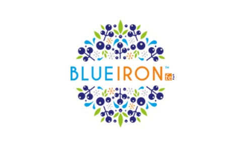 BlueIron appoints PR agency
