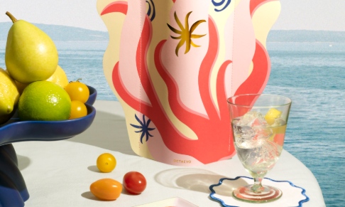 OCTAEVO appoints representation