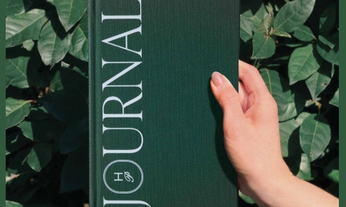 The Head Plan appoints PR and influencer representation