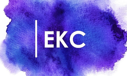 Elyse Koenig: Beauty & Wellness Consulting (USA) announces new client wins