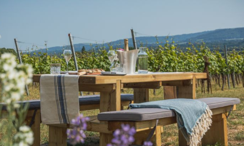 Wine brand Roebuck Estates appoints agency