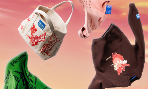 Harry Styles' Pleasing collaborates with Disney Fantasia