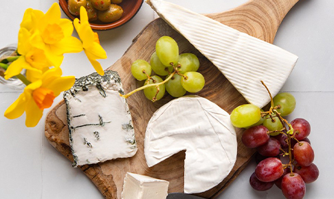 Vegan food brand Honestly Tasty appoints Carlotta PR