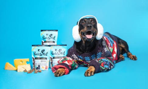 Pet food brand Pooch & Mutt appoints agency for Christmas campaign