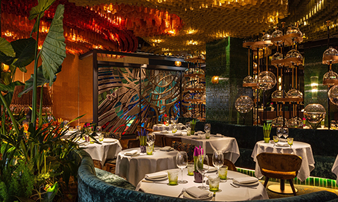 Latin American restaurant Amazónico appoints Curaconn