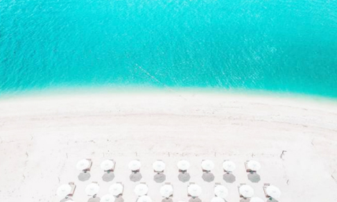 TCC LDN announces client wins 